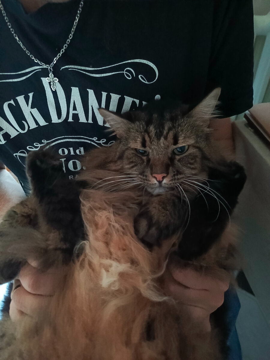 Немного не доволен