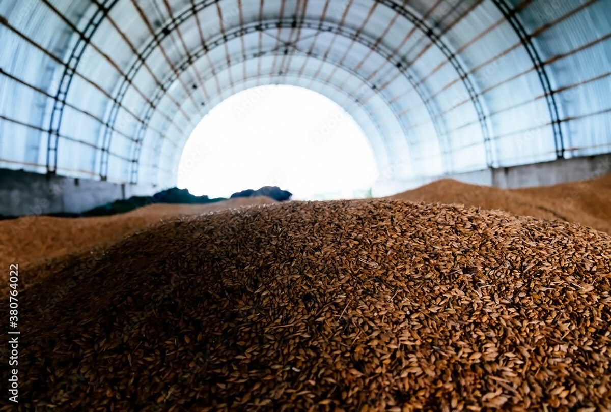 Из гофрированных листов производят арочные зернохранилища (фото — stock.adobe.com)