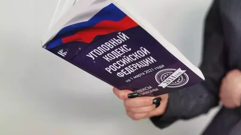     Активистку обвиняют в публичных призывах к дезертирству.