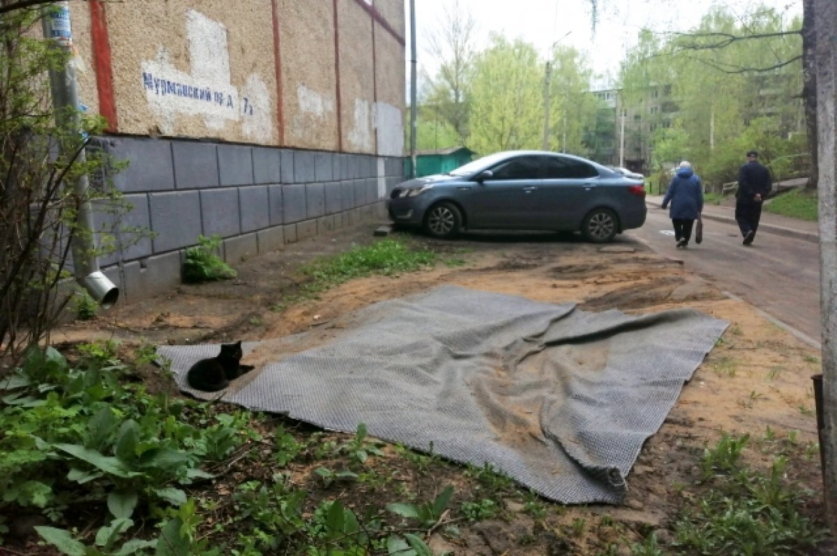    Некоторые водители для своих авто даже «парковочные» ковры подстилают.