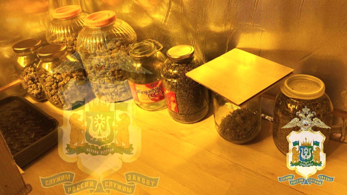    Сургутянина задержали за организацию наркомаркета