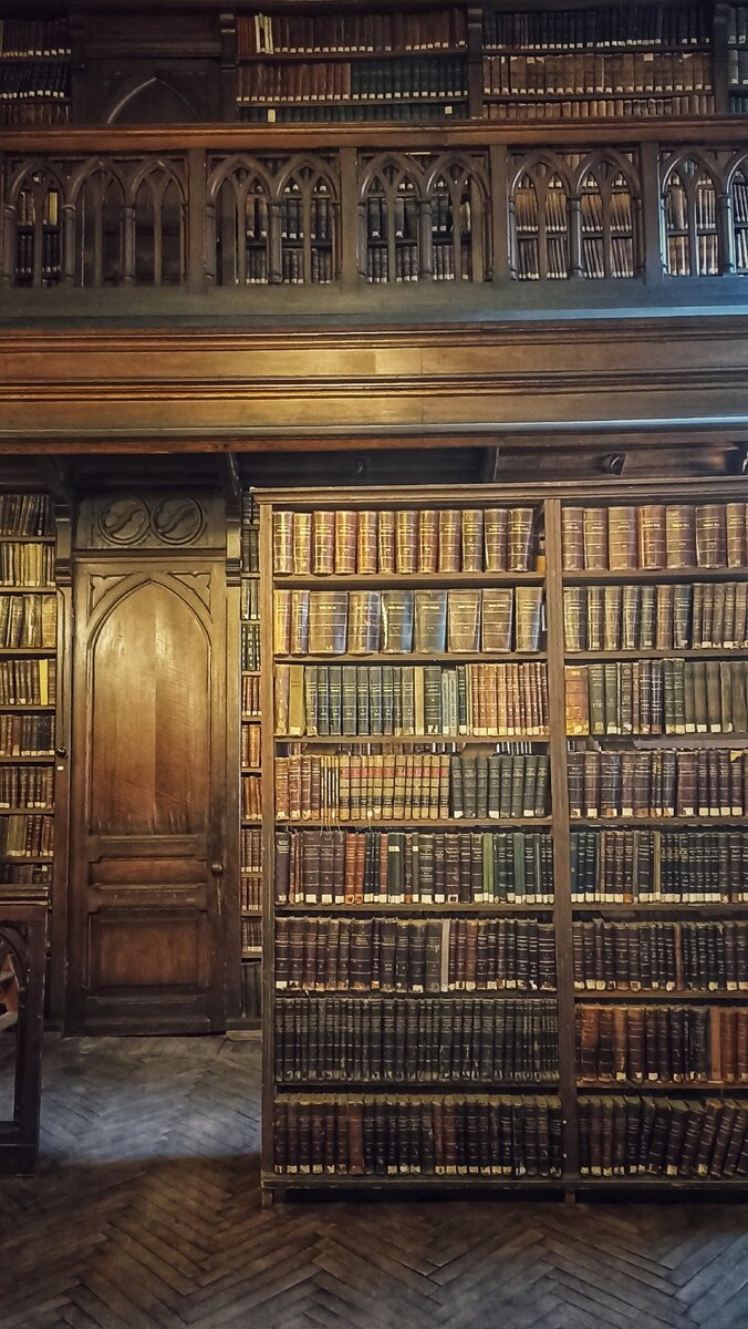 Интерьер библиотеки. Здесь и далее – фото автора, если не указано иное