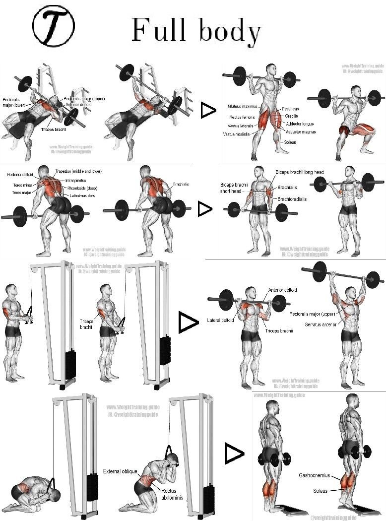 Программа full body. Упражнения Full body. Силовая тренировка Full body. Фулл боди тренировка для мужчин. Full body Workout Gym.