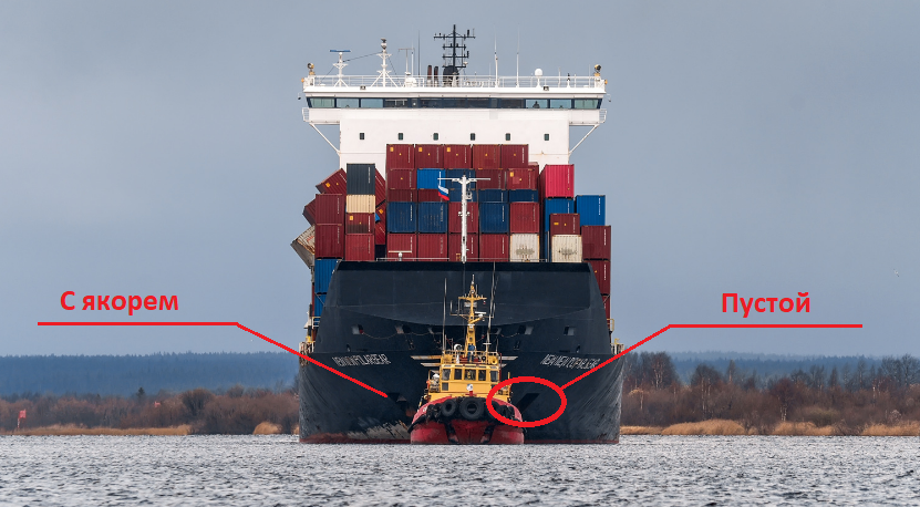 Фото "Newnew Polar Bear" из откр. источников. Подписи сделал сам. 