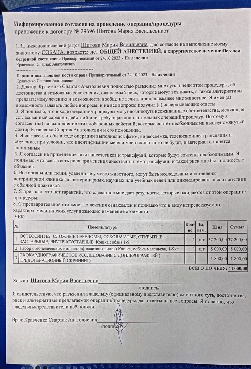 ЧП! Собаку оперируют, а расплатиться НЕЧЕМ | Приют животных Омские Хвостики  | Дзен