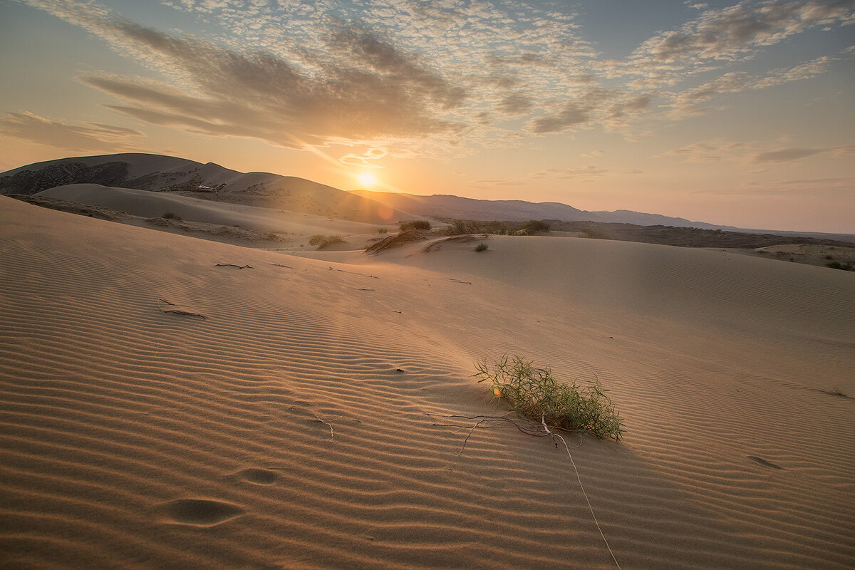 Сарыкумский бархан