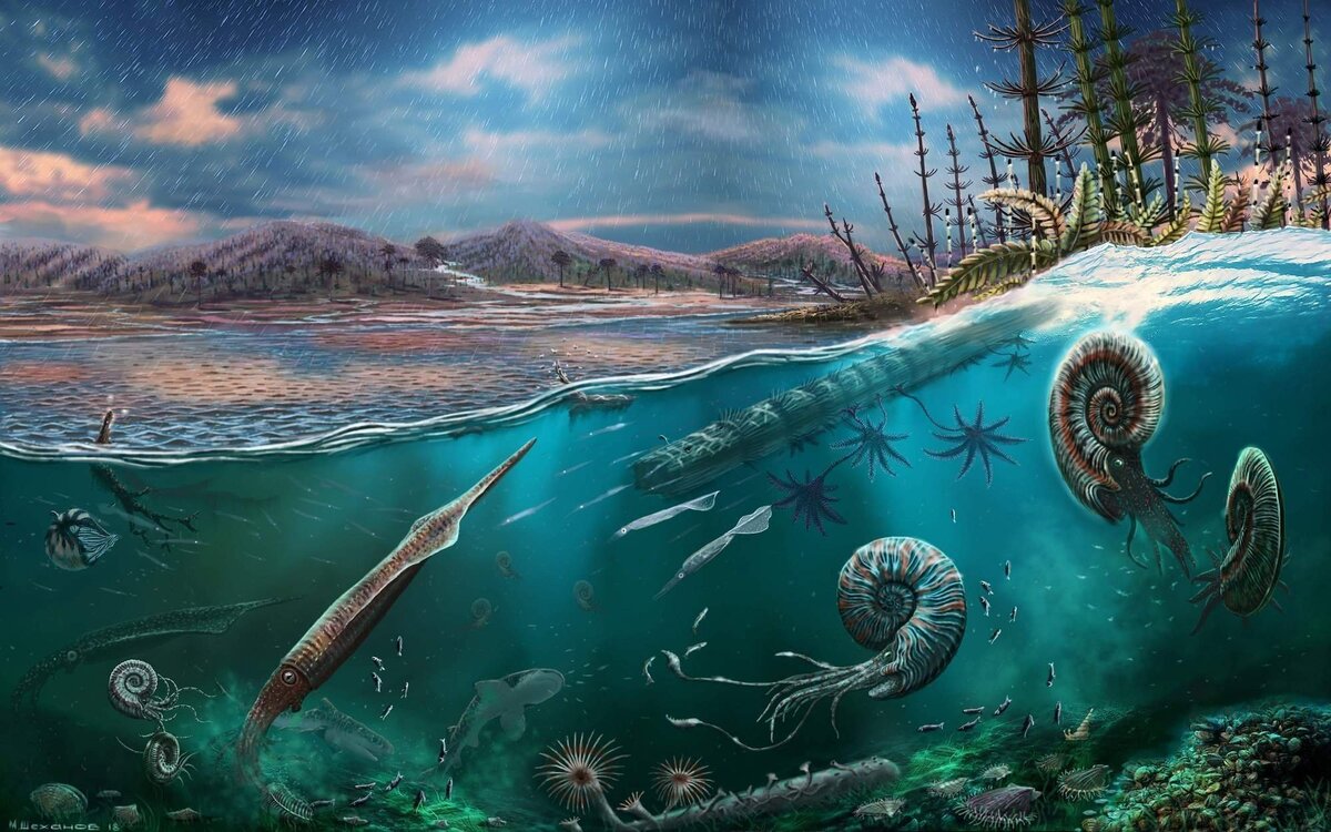 Изображение из открытых источников