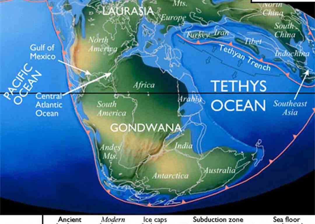 Изображение из открытых источников