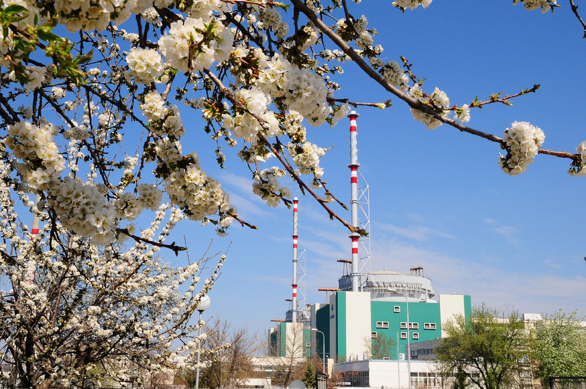 kznpp.org