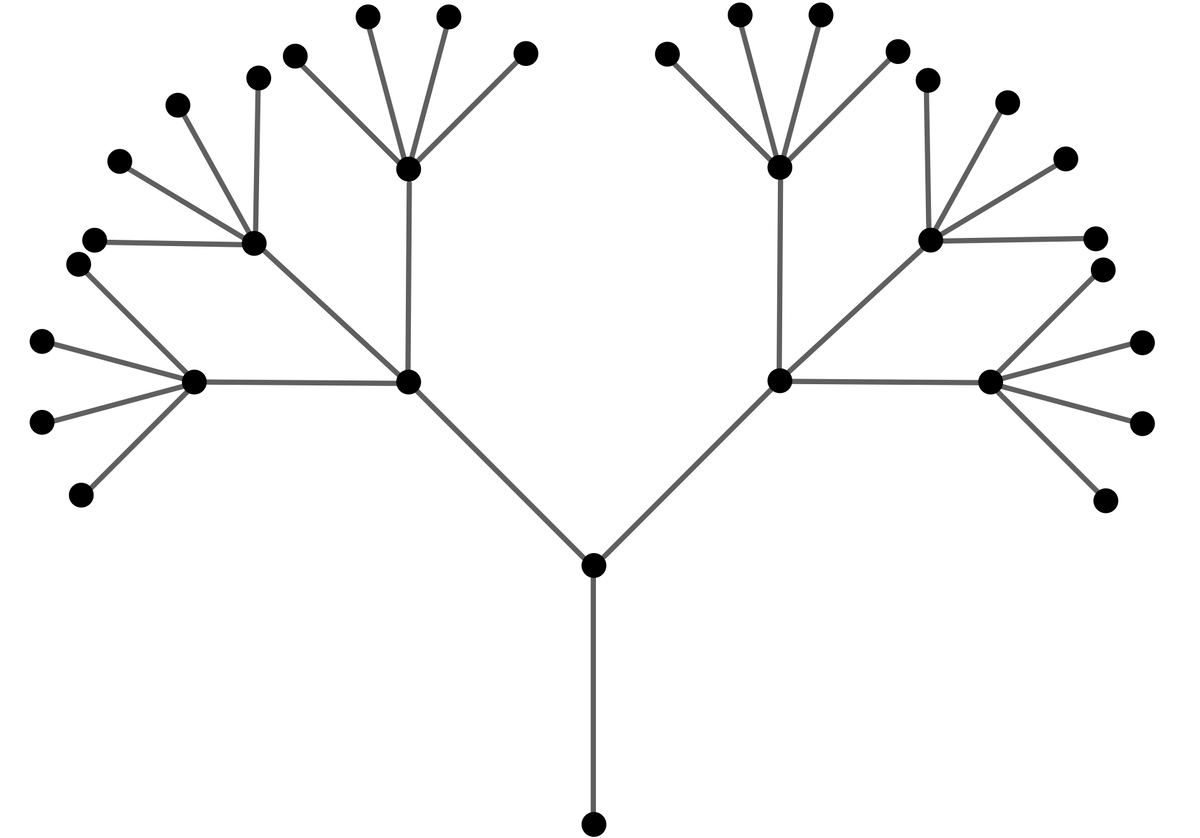 Элементы дерева графа. Теория графов. Графы в биологии. Колесо (теория графов). Дерево и сеть (теория графов).