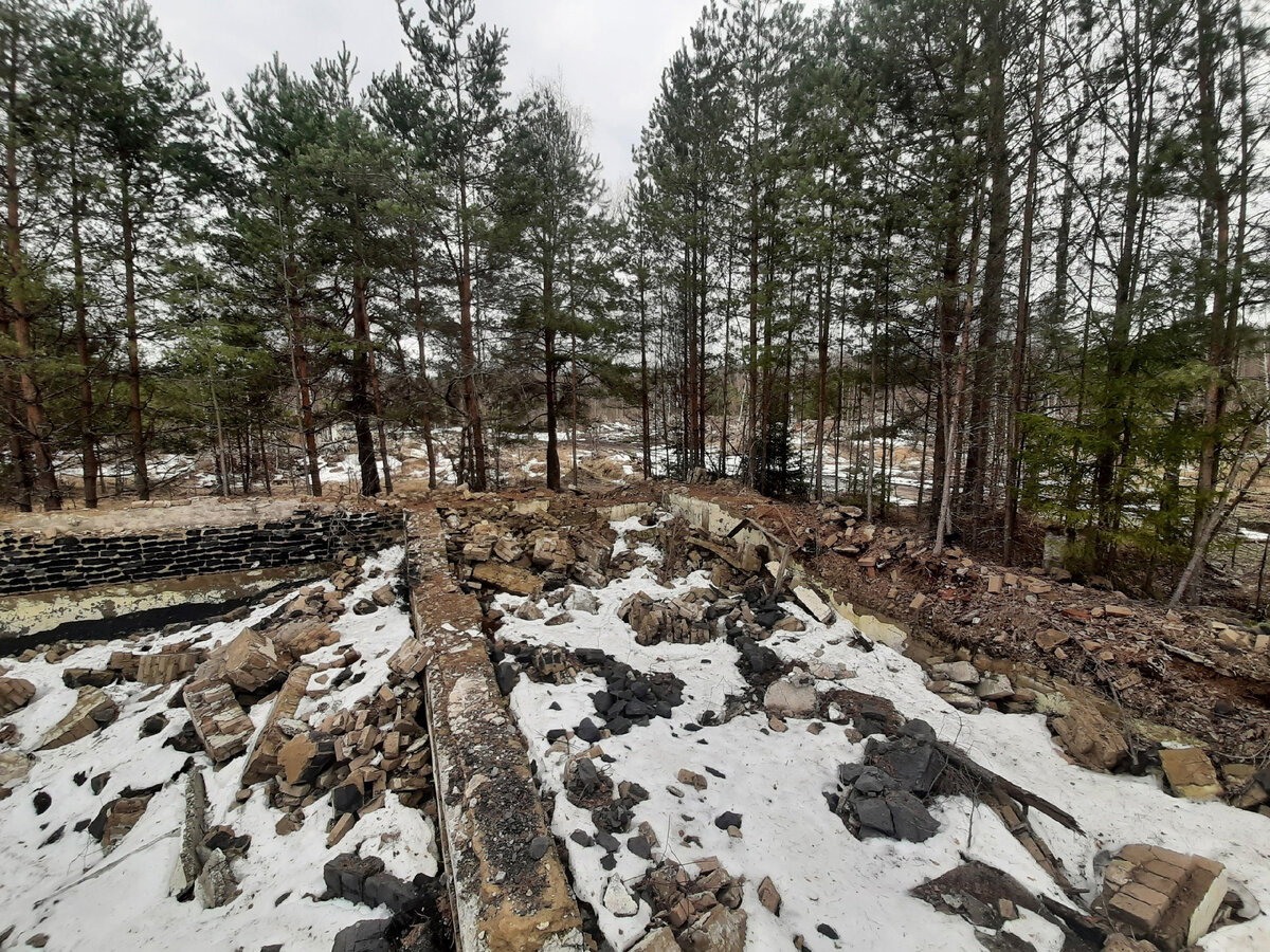 Листайте галерею. Это - остатки воинской части, где власть мечтает построить полигон
