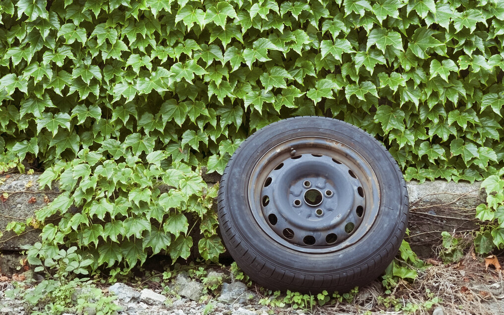    И выбросить жалко, и что делать, непонятно