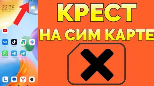 Макросъемка фото и видео с помощью камеры iPhone