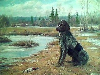Юрий Шаблыкин