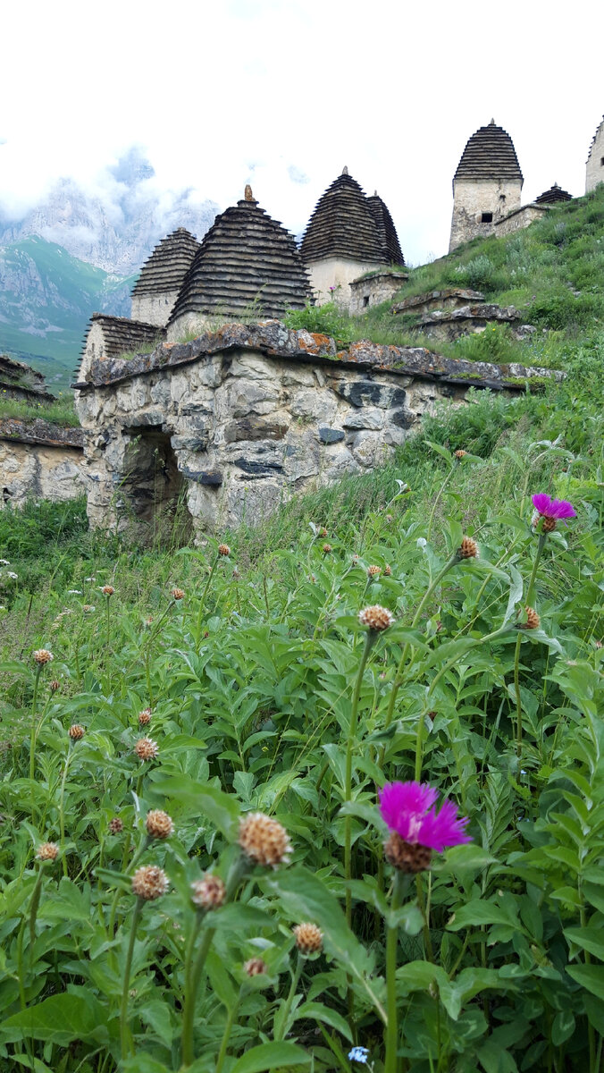 Даргавс – самый знаменитый некрополь на Кавказе. "Город мертвых", стоящий на склонах Куртатинского ущелья Северной Осетии вот уже около семи сотен лет, хранит немало тайн.-2