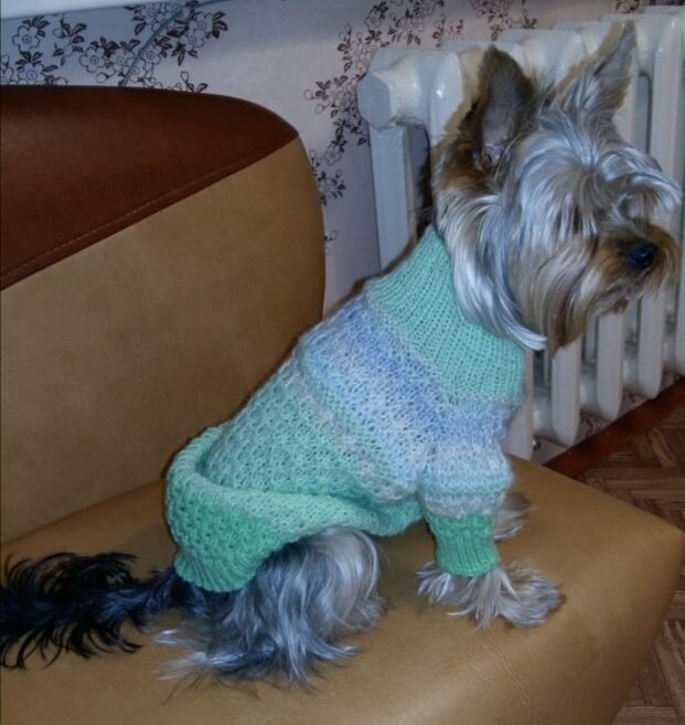 Фото и работа автора.