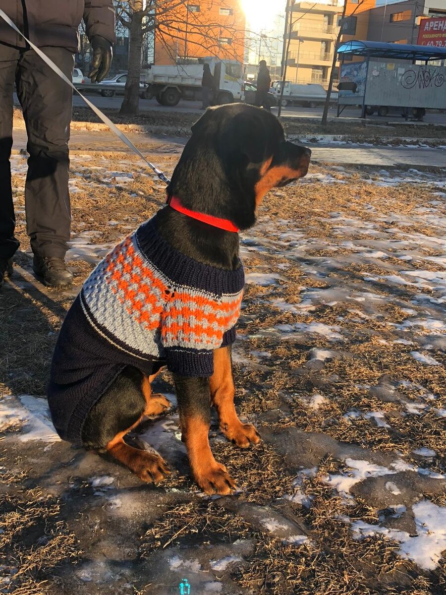 Фото и работа автора.