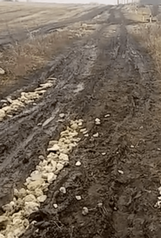      Старое фото. Скриншот из видео