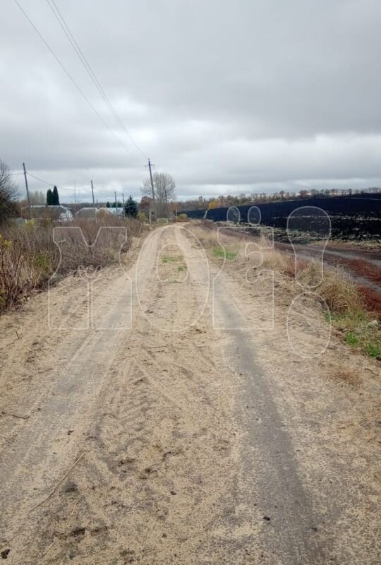      Свежее фото. Личный архив Ларисы Лаврентьевой