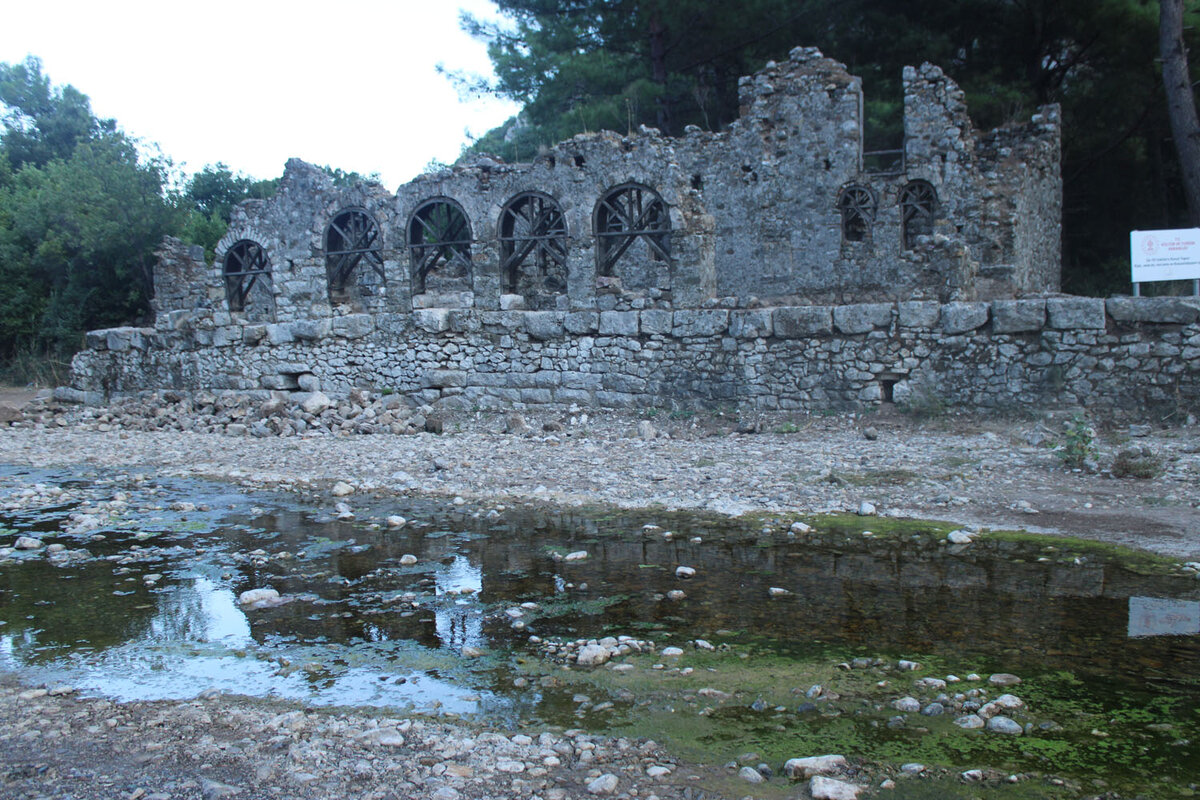 На берегу реки