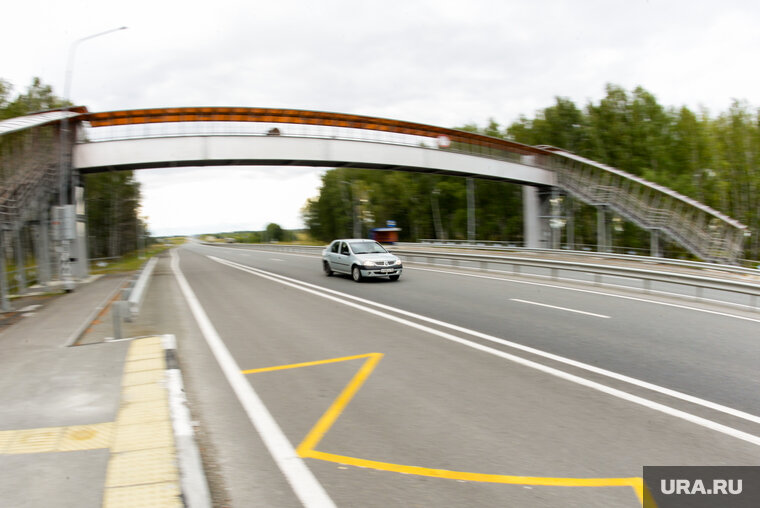    ДТП произошло на трассе М-5 под Златоустом