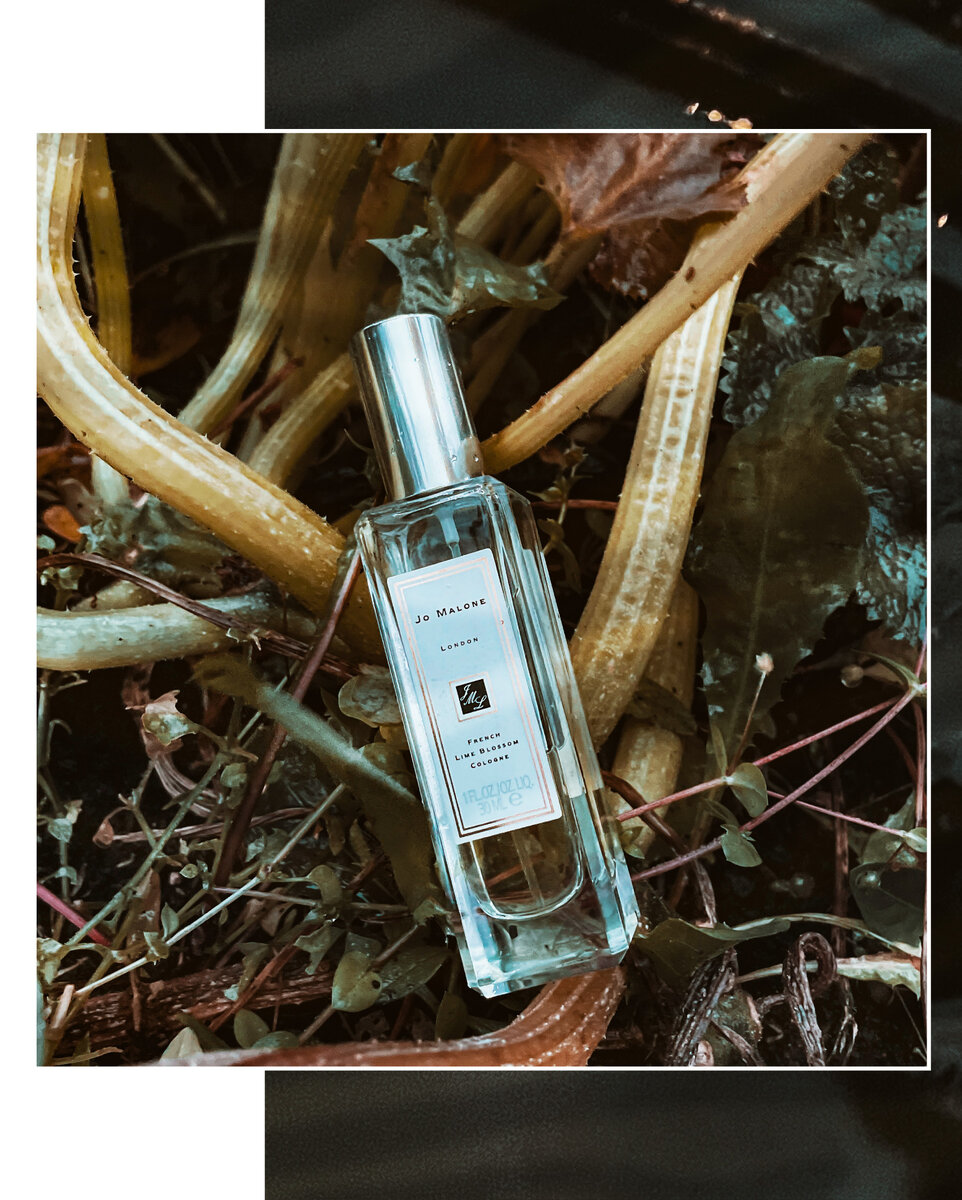 ВЕРХ: Бергамот, Петитгрейн СЕРЕДИНА: Липовый цвет, Ландыш, Тархун, Жасмин, Роза
БАЗА: Пчелиный воск

