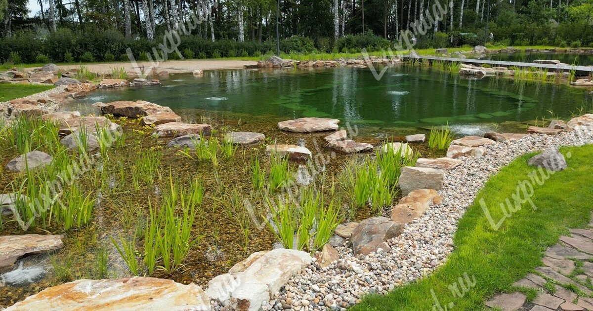 Чистый плавательный пруд — в нем нет опасных бактерий