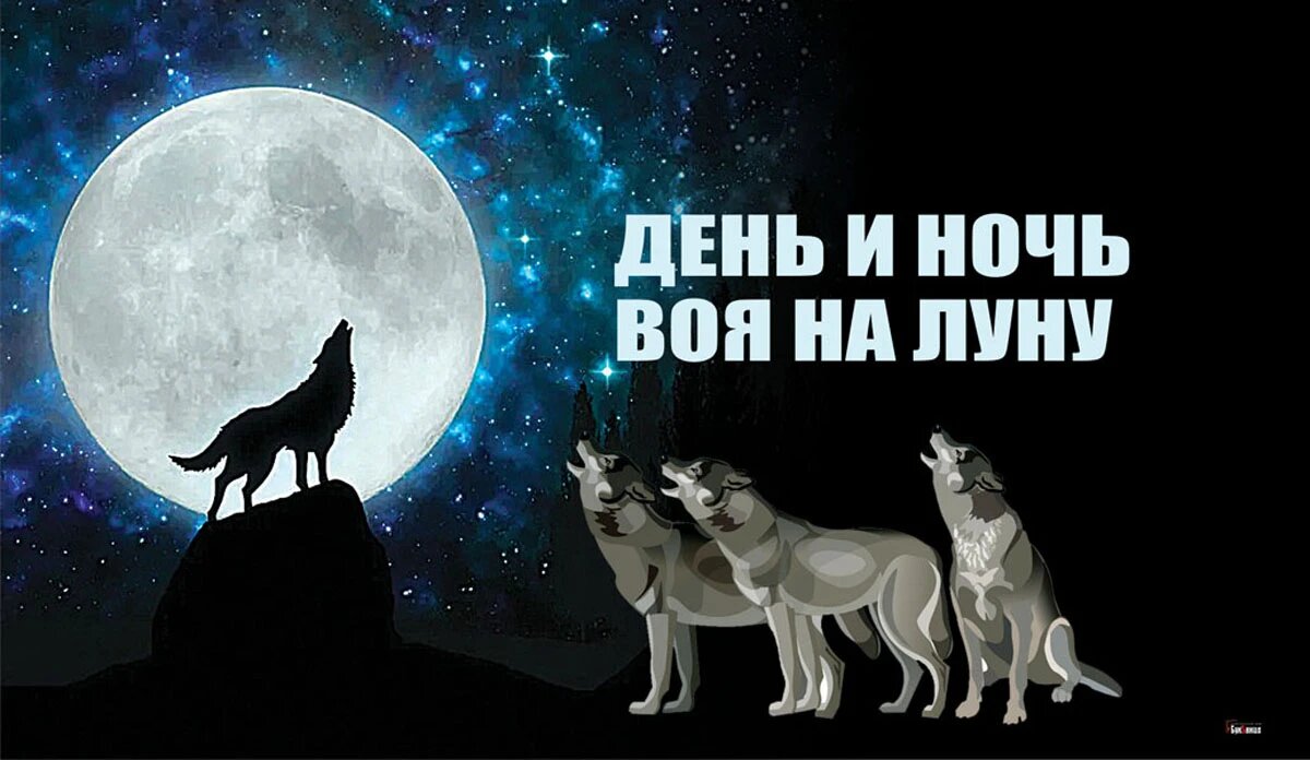 Вой на луну