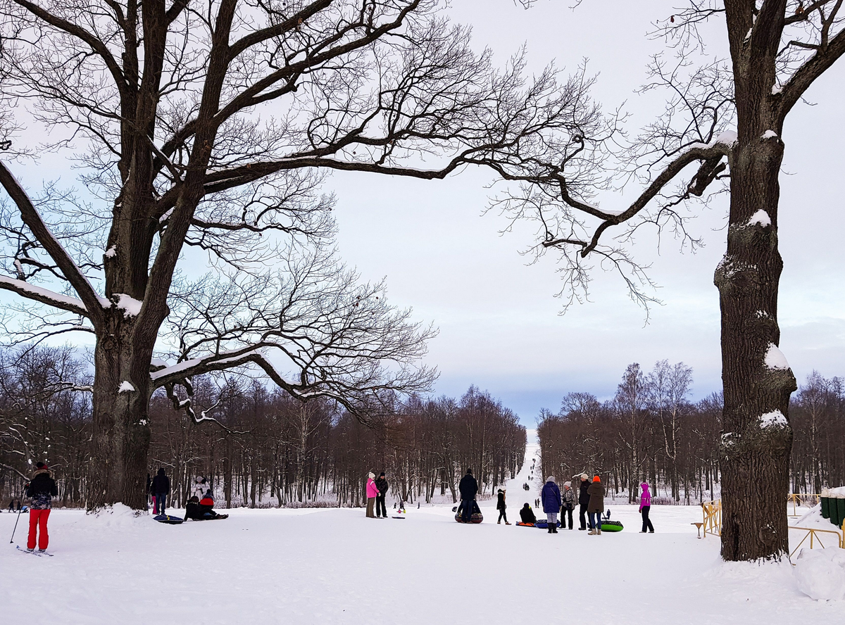 Александровский парк Петергофа