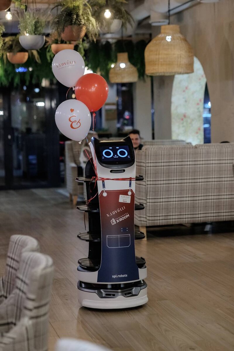 Кот-официант в ресторане X.Lovelli