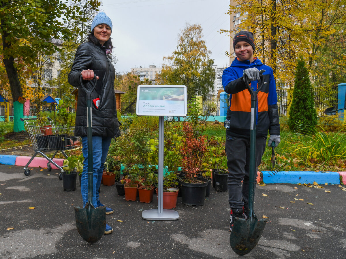 аллея жизни