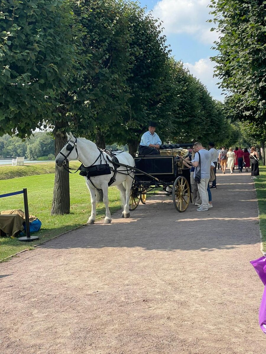 Усадьба Кусково © "Покажу Москву"
