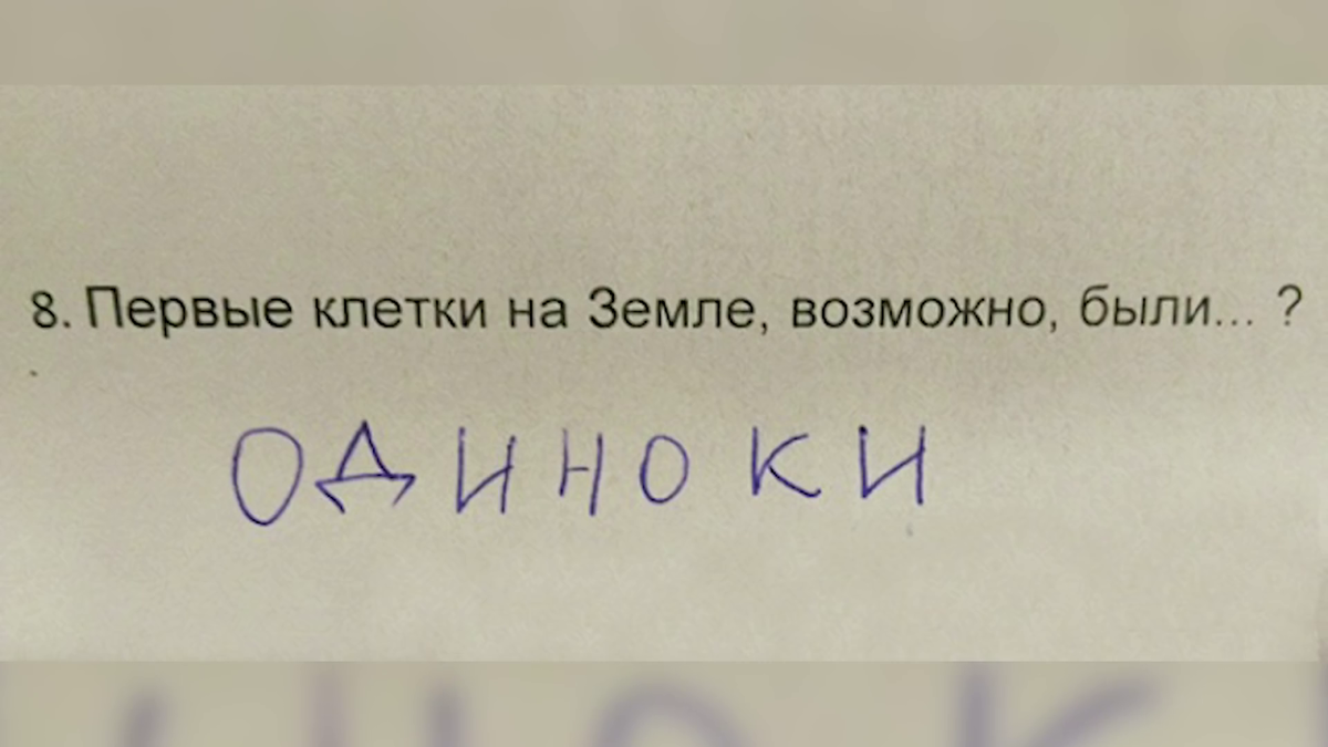 Тетради безумия: Абсурдные ответы школьников на домашку | Дневник Родителей  | Дзен