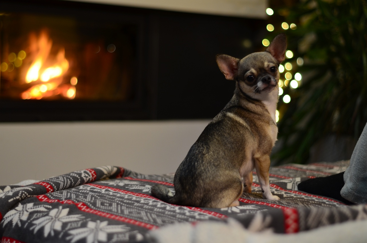 Фото из семейного архива