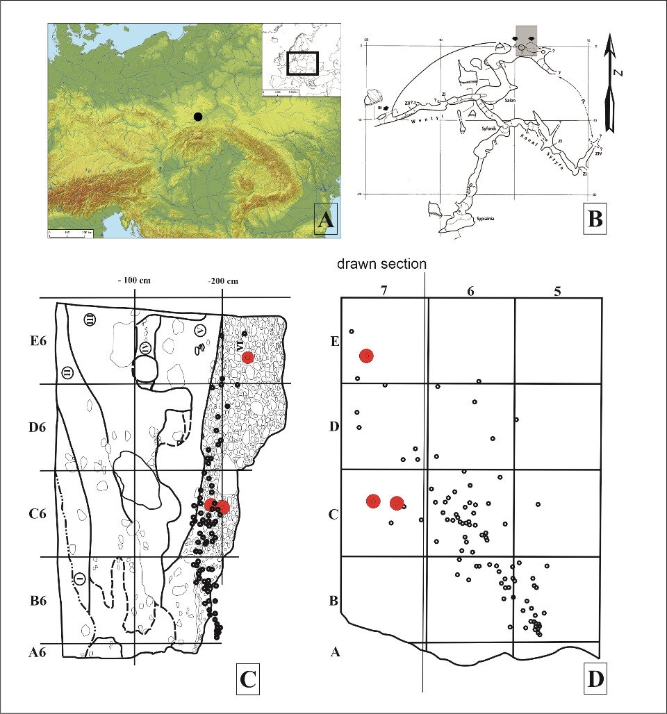   Helen Fewlass et al. / iScience, 2023