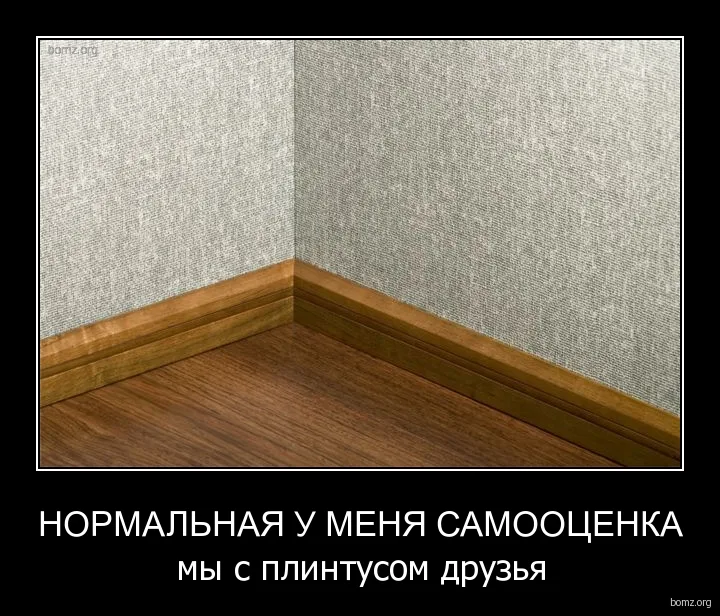 человек ниже плинтуса. опуститься ниже плинтуса. шуточки ниже плинтуса. человек ниже плинтуса. вы самое слабое звено.