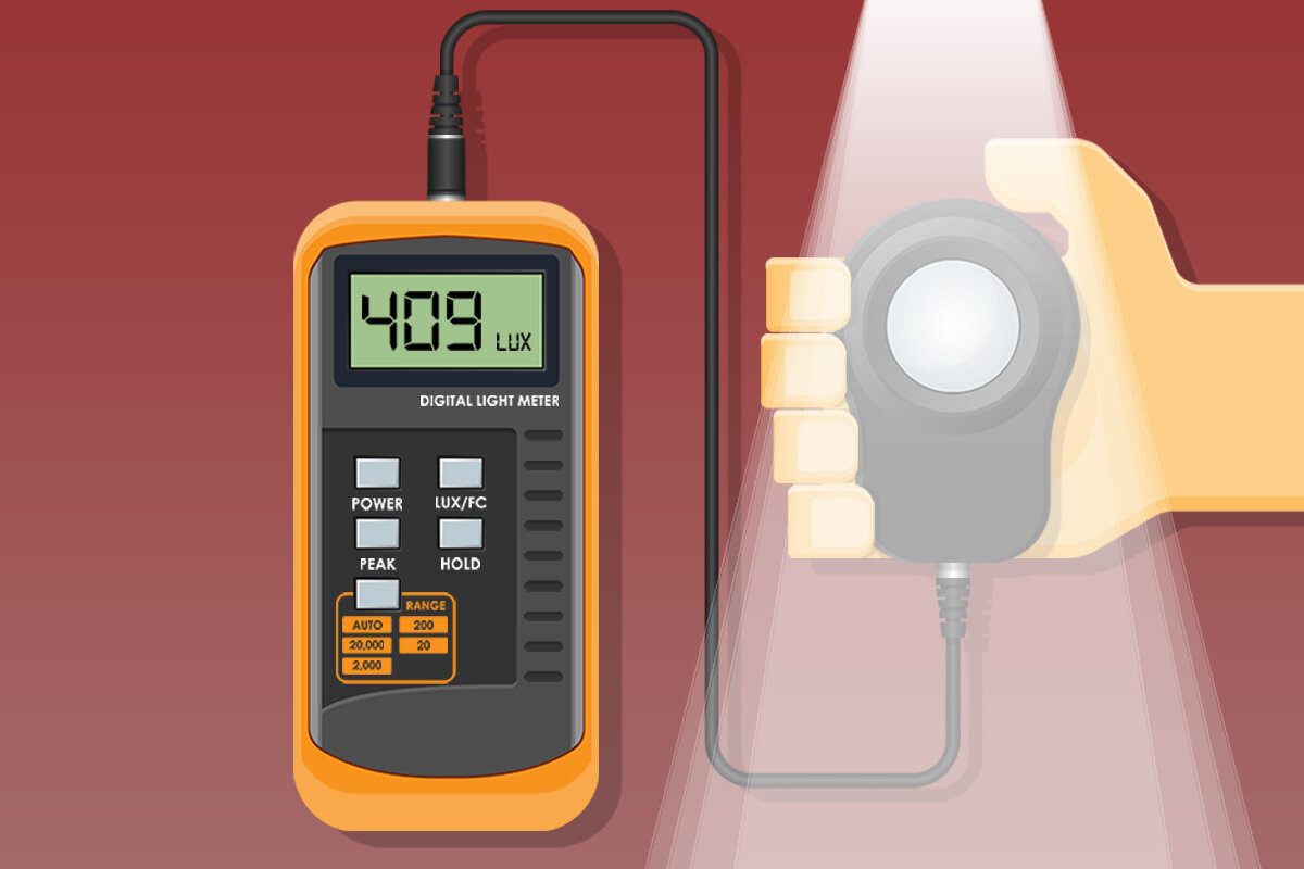 Фото взято из открытых источников