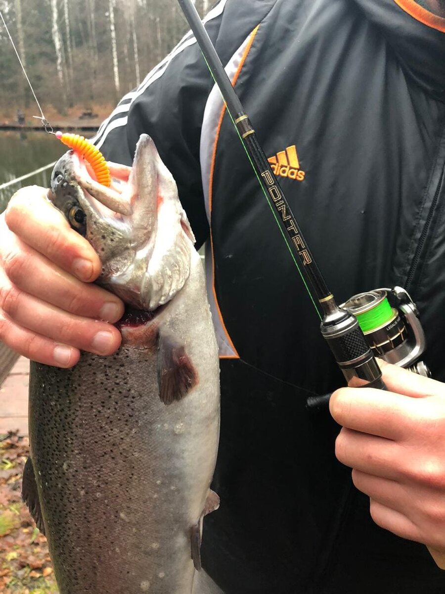 "...мне удавалось без проблем вылавливать рыб массой свыше 3кг..."