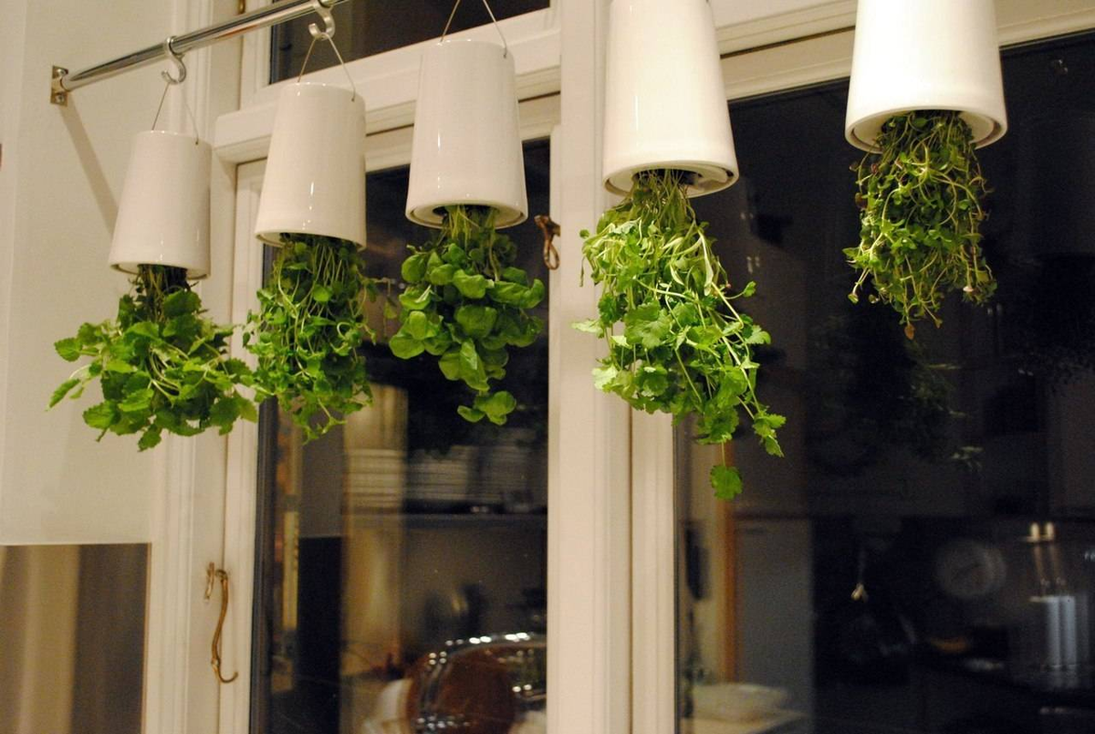 Фитомодуль икеа. Необычные горшки для комнатных растений. Подвесные кашпо в интерьере квартиры. Подвесные растения в интерьере.