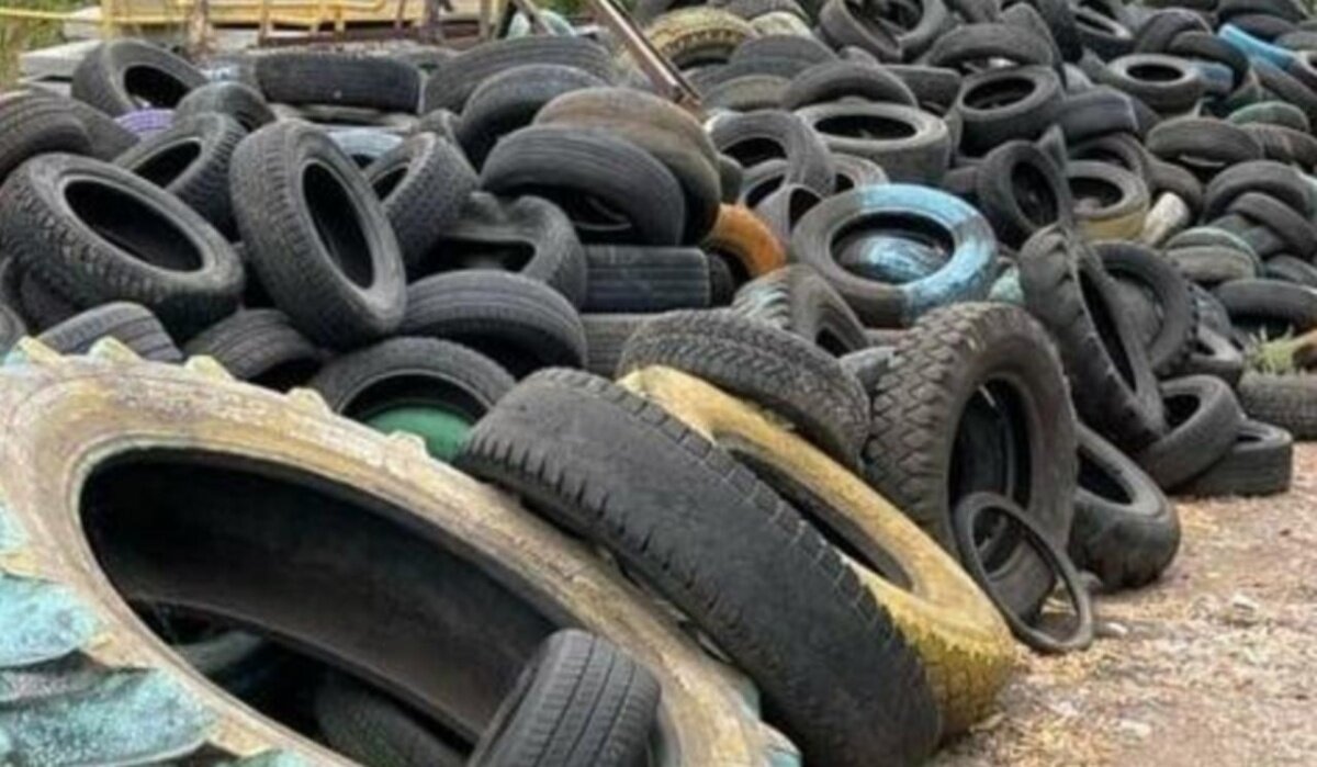 Шины. Источник: bashinform.ru Автор фото: Ляйсан Закирова