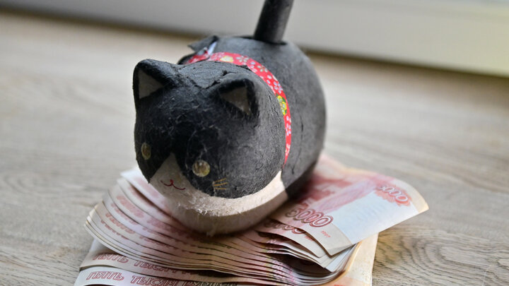 ФОТО: © VLADIMIR BARANOV/GLOBALLOOKPRESS