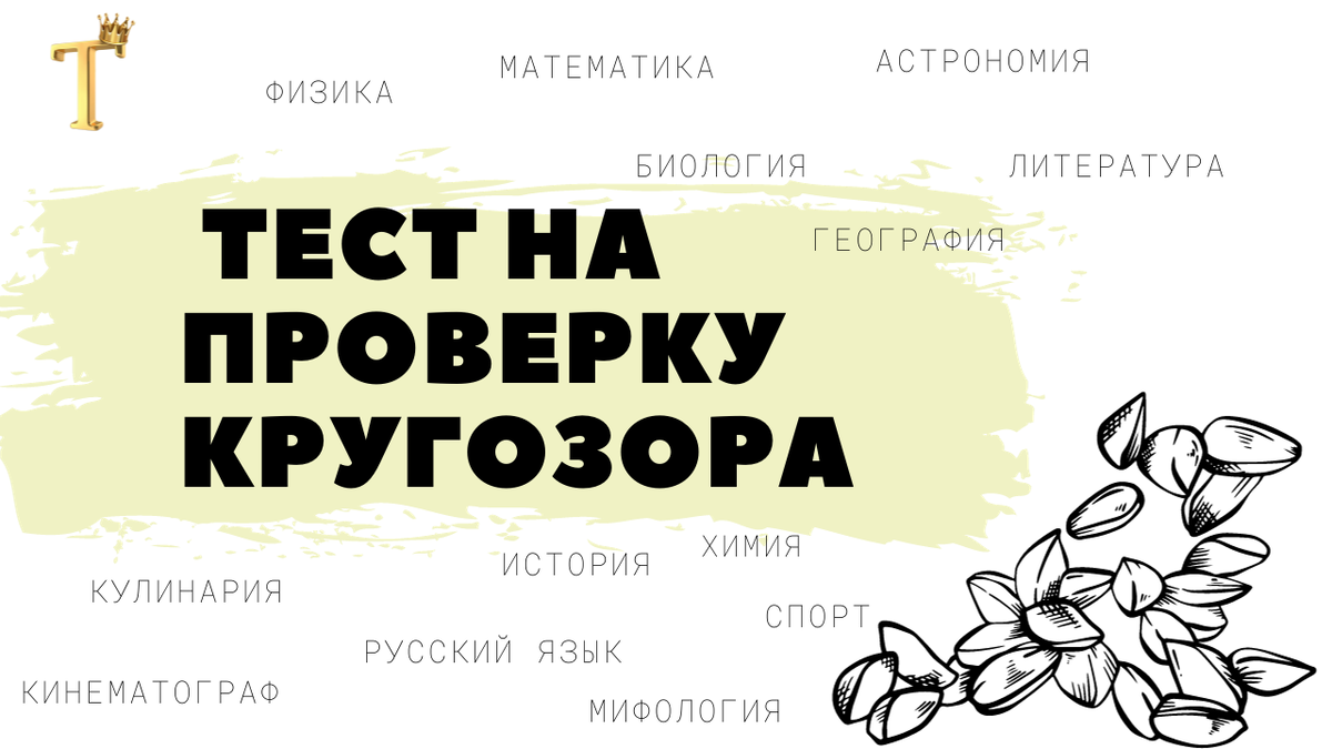 Онлайн тест на проверку кругозора №952 (12 вопросов) | Тесты.Перезагрузка |  Дзен