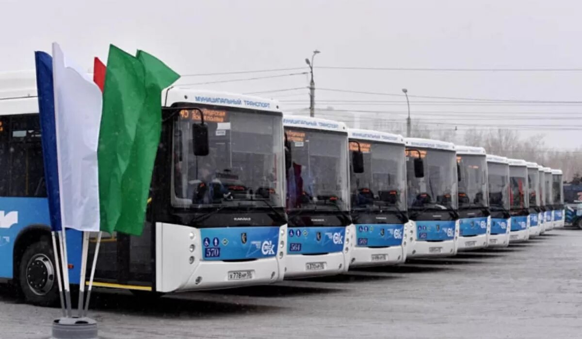 В Омске зимой появятся два новых автобусных маршрута | АОН // Омск | Дзен