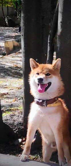 я уже начал планировать их будущее