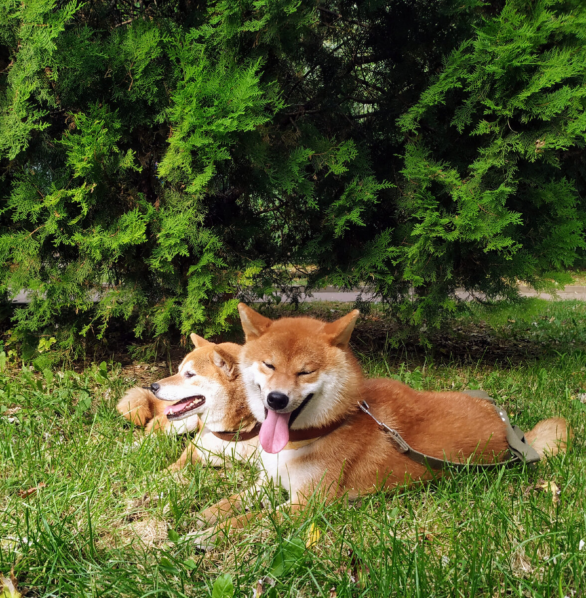 Я и Мурочка ♥️