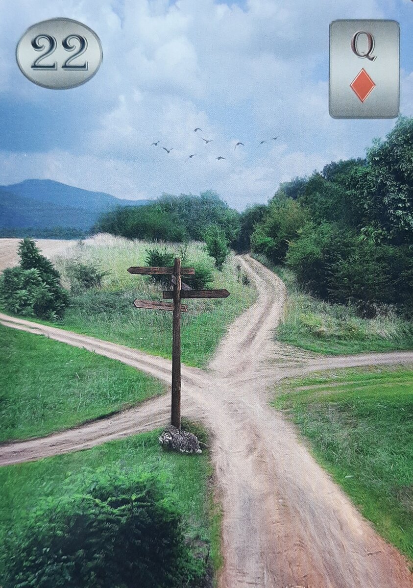 Thelema Lenormand. Renata Lechner