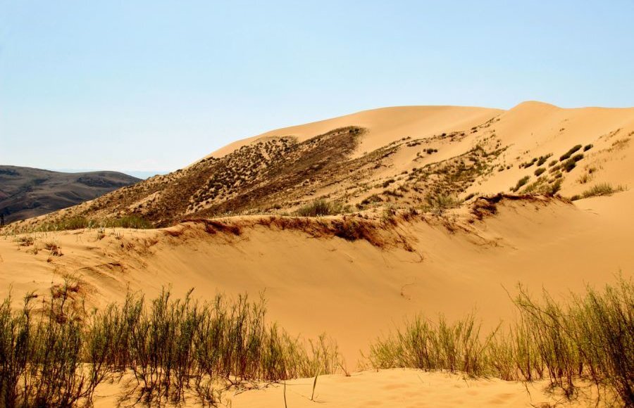    Фото: Александр Злоказов