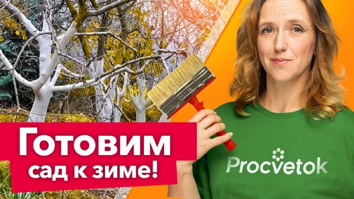 7 самых важных работ в саду перед зимой, о которых нельзя забывать!