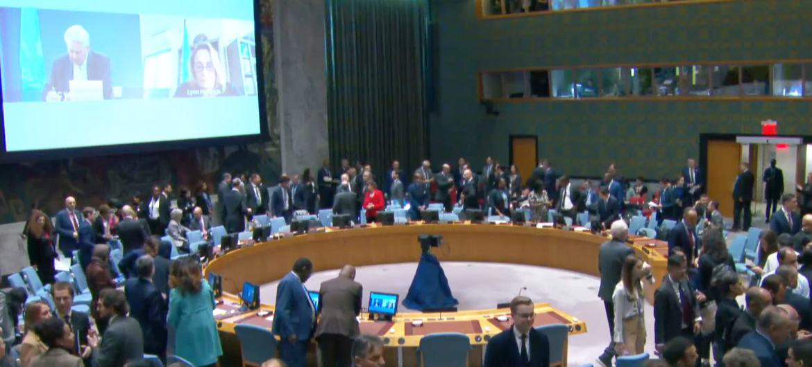 Совбез ООН. Инет