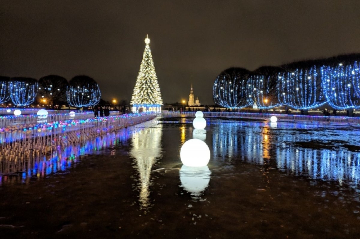    На Ямале начался процесс отбора на губернаторскую елку